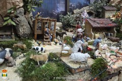 belenGrupoMujeres_23-17