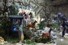 belenGrupoMujeres_23-7