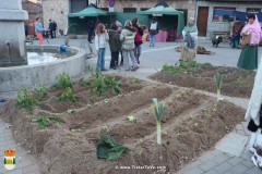 belenViviente_23-20