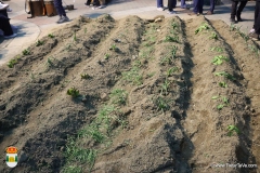 2025-12-27-BelenViviente-141-CFR