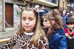 carnaval-260222-194