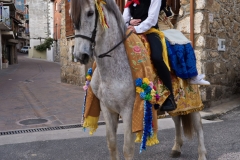 romeria-quintos-2023-113