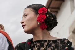 romeria-quintos-2023-2