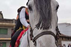 romeria-quintos-2023-50