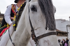 romeria-quintos-2023-51