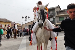 romeria-quintos-2023-84