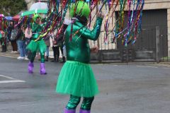 domingo-carnaval-24-101
