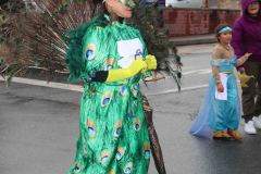 domingo-carnaval-24-191
