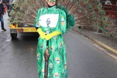 domingo-carnaval-24-2