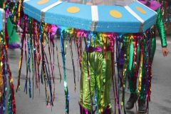 domingo-carnaval-24-215