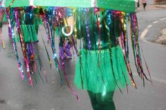 domingo-carnaval-24-216