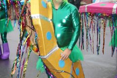 domingo-carnaval-24-217