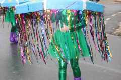 domingo-carnaval-24-219
