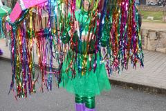 domingo-carnaval-24-50