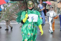 domingo-carnaval-24-62