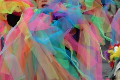 lunes-carnaval-24-251