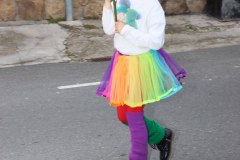 martes-carnaval-24-269