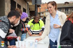 martes-carnaval-24-341