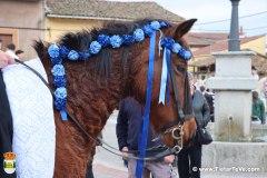 martes-carnaval-24-67