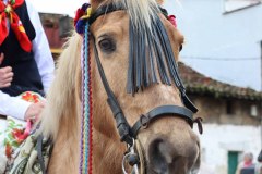 martes-carnaval-24-68