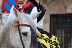 martes-carnaval-24-76