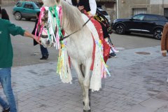 martes-carnaval-24-95
