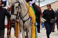 martes-carnaval-24-99
