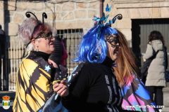 sabado-carnaval-24-15