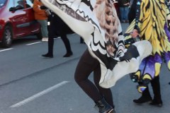 sabado-carnaval-24-322