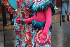 2025-03-02-Carnaval-Casavieja-2-267-CFR