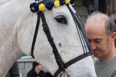 2025-03-04-Carnaval-Casavieja-154-CFR