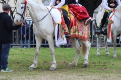 2025-03-04-Carnaval-Casavieja-325-CFR