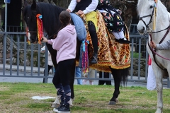 2025-03-04-Carnaval-Casavieja-328-CFR