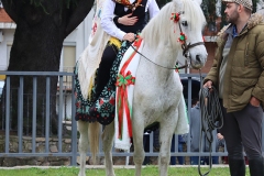 2025-03-04-Carnaval-Casavieja-329-CFR