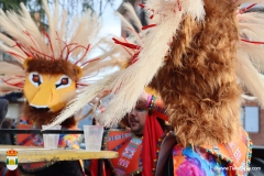 2026-02-15-Carnaval-Casavieja-113-CFR