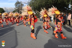 2026-02-15-Carnaval-Casavieja-123-CFR