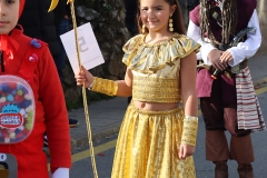 2026-02-15-Carnaval-Casavieja-132-CFR