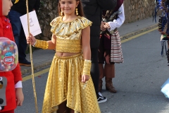 2026-02-15-Carnaval-Casavieja-133-CFR