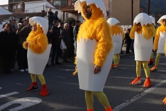 2026-02-15-Carnaval-Casavieja-209-CFR