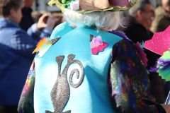2026-02-15-Carnaval-Casavieja-260-CFR