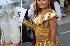 2026-02-15-Carnaval-Casavieja-318-CFR