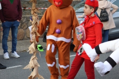 2026-02-15-Carnaval-Casavieja-321-CFR