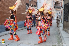 2026-02-15-Carnaval-Casavieja-357-CFR