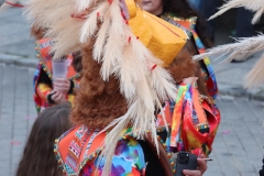 2026-02-15-Carnaval-Casavieja-385-CFR