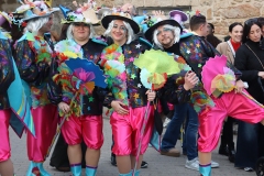 2026-02-15-Carnaval-Casavieja-396-CFR