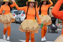 2026-02-16-Carnaval-Casavieja-174-CFR