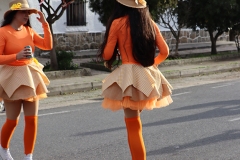 2026-02-16-Carnaval-Casavieja-182-CFR