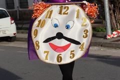 2026-02-16-Carnaval-Casavieja-242-CFR