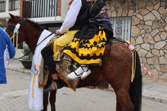 2026-02-17-Carnaval-Casavieja-110-CFR