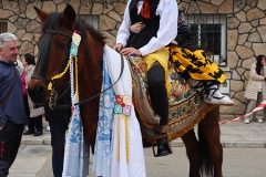 2026-02-17-Carnaval-Casavieja-159-CFR